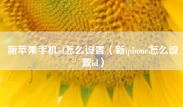 新苹果手机id怎么设置（新iphone怎么设置id）