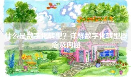什么是数字化转型？详解数字化转型概念及内涵