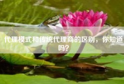 代理模式和传统代理商的区别，你知道吗？
