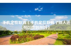 手机定位取消（手机定位取消了别人还可以找到你吗）