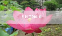 包饺子的由来