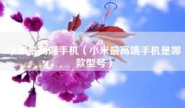 小米最高端手机（小米最高端手机是哪款型号）