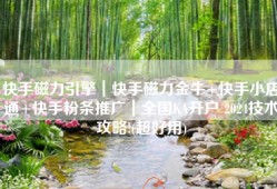快手磁力引擎｜快手磁力金牛+快手小店通+快手粉条推广｜全国KA开户 2024技术攻略!(超好用)