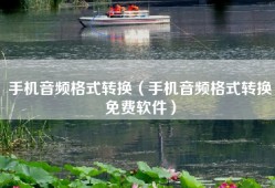 手机音频格式转换（手机音频格式转换免费软件）