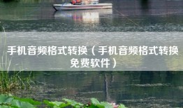 手机音频格式转换（手机音频格式转换免费软件）