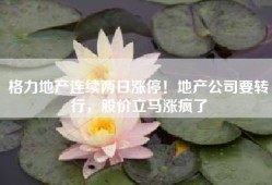 格力地产连续两日涨停！地产公司要转行，股价立马涨疯了