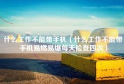 什么工作不能带手机（什么工作不能带手机易燃易爆每天检查四次）