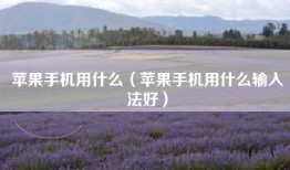 苹果手机用什么（苹果手机用什么输入法好）