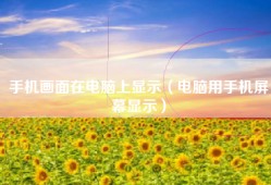 手机画面在电脑上显示（电脑用手机屏幕显示）