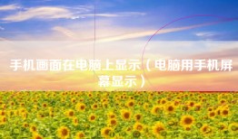 手机画面在电脑上显示（电脑用手机屏幕显示）