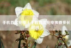 手机首次充电（手机首次充电需要多长时间）