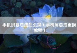 手机屏幕总成怎么换（手机屏总成更换教程）