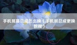 手机屏幕总成怎么换（手机屏总成更换教程）