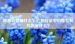 凤凰云智是什么？它在行业中的地位和作用是什么？