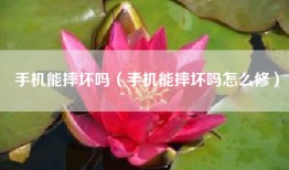 手机能摔坏吗（手机能摔坏吗怎么修）