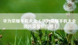 华为荣耀手机大全（华为荣耀手机大全图片及报价价格）
