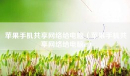 苹果手机共享网络给电脑（苹果手机共享网络给电脑u）