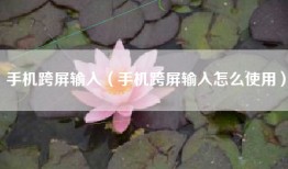 手机跨屏输入（手机跨屏输入怎么使用）