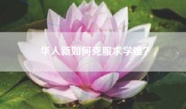 华人新如何克服求学难？