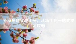 外贸搭建实战手册，从新手到一站式学习攻略