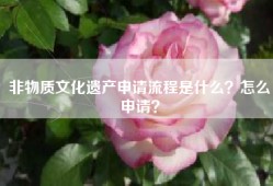 非物质文化遗产申请流程是什么？怎么申请？
