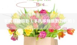 手机移轴摄影（手机移轴摄影怎么拍）