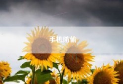 手机防偷