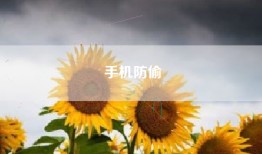 手机防偷