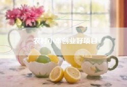 农村小本创业好项目