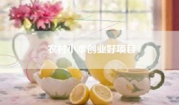 农村小本创业好项目