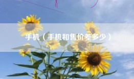 手机（手机和售价差多少）