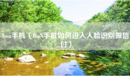 hon手机（HoN手机如何进入人脸识别微信付）