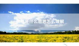 物质是什么意思怎么理解