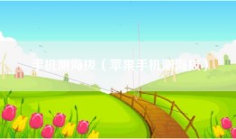手机测海拔（苹果手机测海拔）