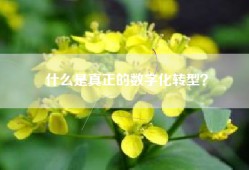 什么是真正的数字化转型？