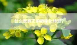 什么是真正的数字化转型？