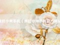 查找小米手机（查找小米手机官方网站）