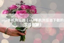 edge手机浏览器（edge手机浏览器下载的文件在哪）