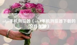 edge手机浏览器（edge手机浏览器下载的文件在哪）