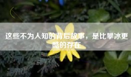 这些不为人知的背后故事，是比攀冰更酷的存在