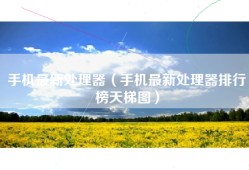 手机最新处理器（手机最新处理器排行榜天梯图）