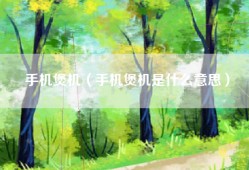 手机煲机（手机煲机是什么意思）