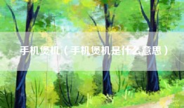 手机煲机（手机煲机是什么意思）