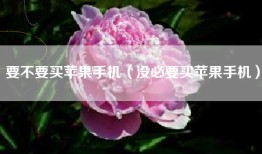 要不要买苹果手机（没必要买苹果手机）