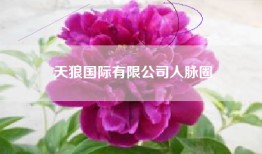天狼国际有限公司人脉圈