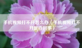 手机视频打不开怎么办（手机视频打不开是咋回事）