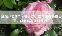 神秘“消失”90天之后，李子柒身份曝光，背后真相太过扎心