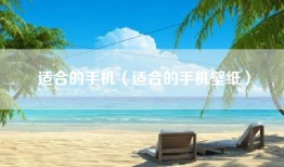 适合的手机（适合的手机壁纸）
