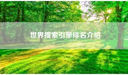 世界搜索引擎排名介绍