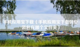 手机应用宝下载(手机应用宝下载的安装包在哪个文件夹)